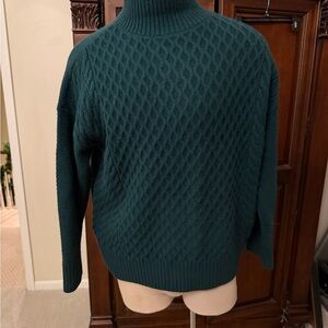 Ann Taylor Men's Deep Green Turtleneck Sweater